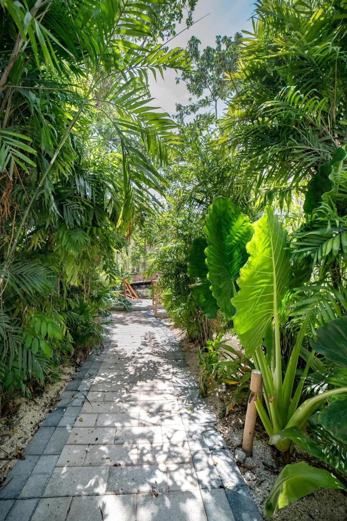 Private Pool And Cenote * Tulum